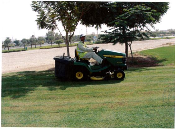 Landscape Maintenance