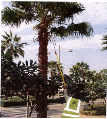 Landscape Maintenance